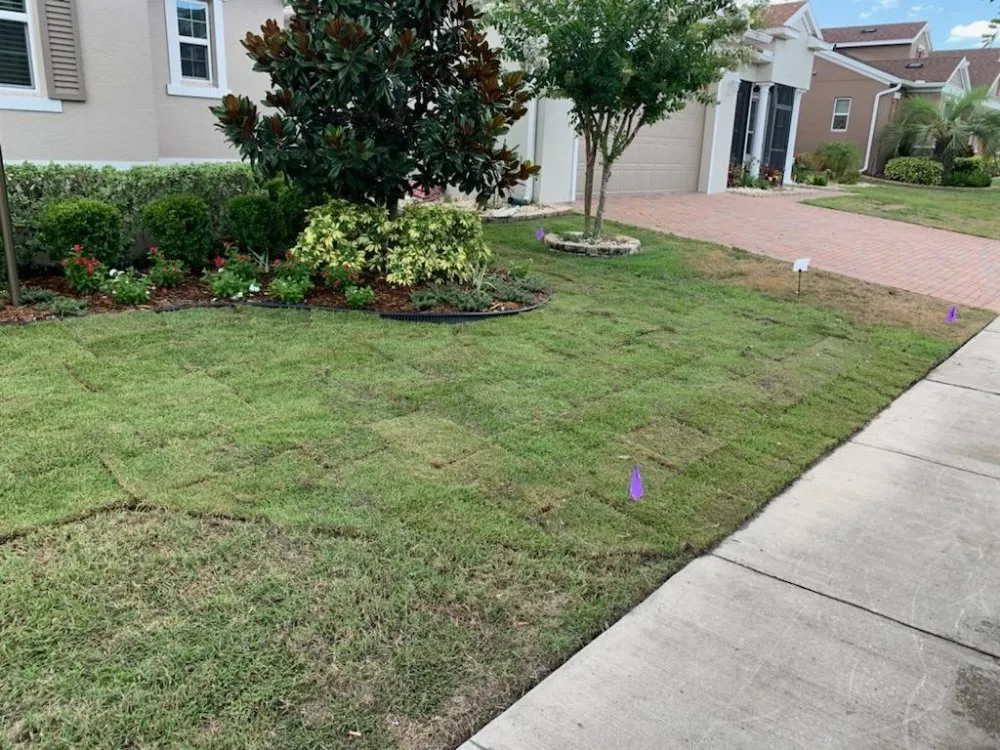 Expert yard maintenance for year-round maintenance across Groveland, FL - Murray Outdoor