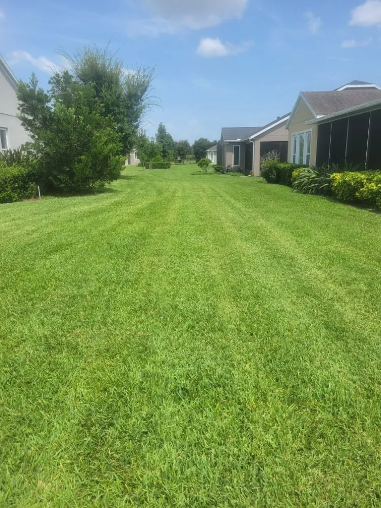 Professional garden landscaping in Groveland, FL by Murray Outdoor