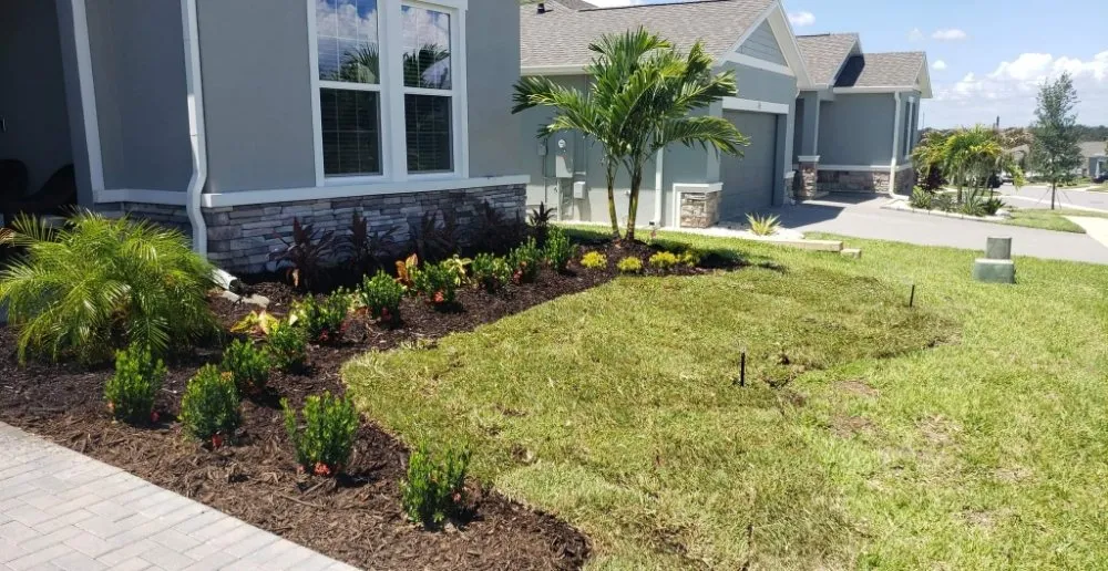 Top-rated yard maintenance in Groveland, FL by Murray Outdoor