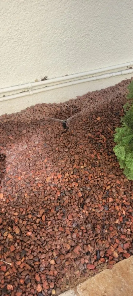 Local lawn care service experts serving Groveland, FL - Murray Outdoor