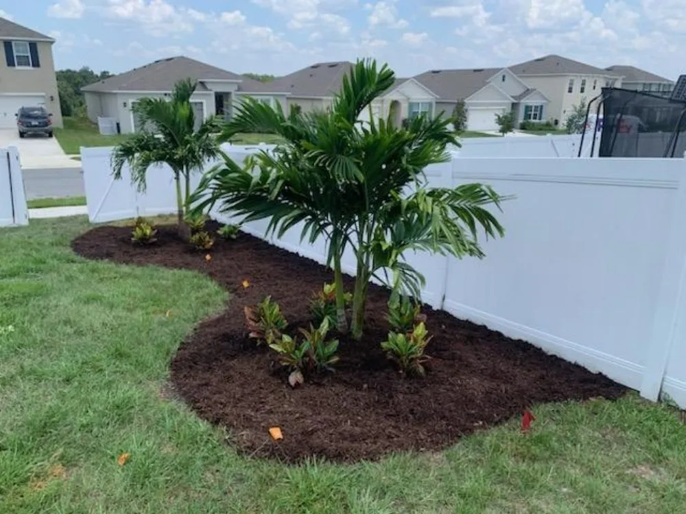 Top-rated lawn care service for beautiful yards across Groveland, FL - Murray Outdoor