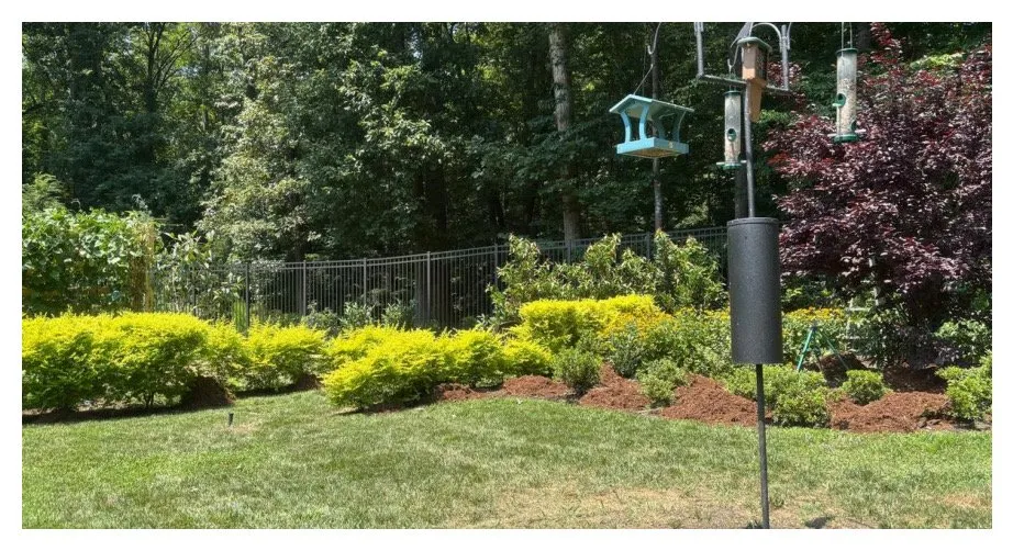 Top-rated residential landscaping in Raleigh, NC - Murray Outdoor Solutions