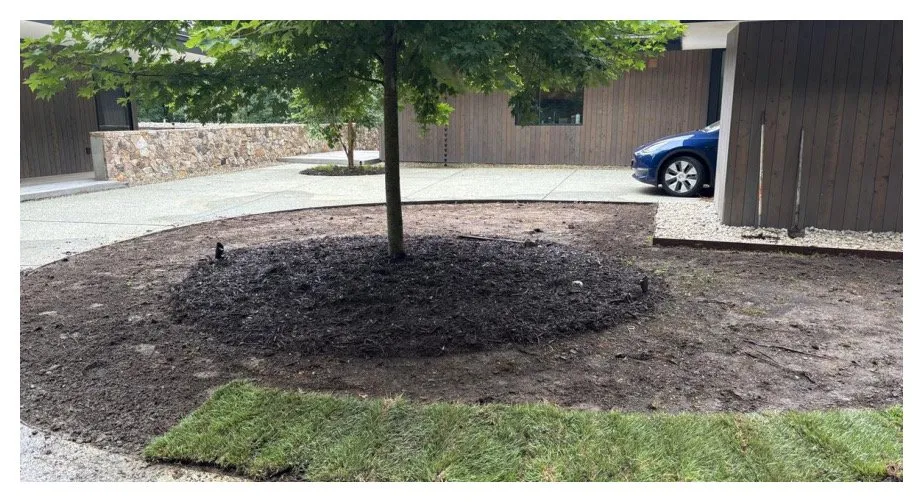 Top-rated yard maintenance for beautiful yards across Raleigh, NC - Murray Outdoor Solutions