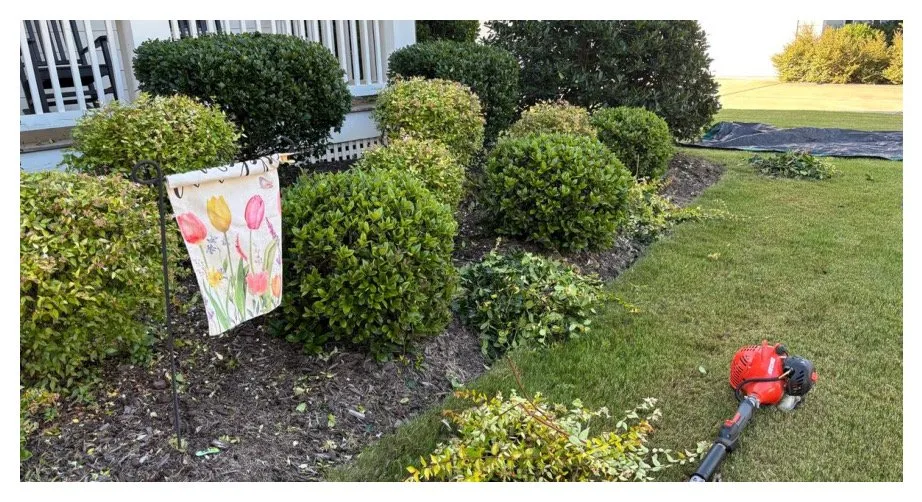 Local residential landscaping in Raleigh, NC by Murray Outdoor Solutions