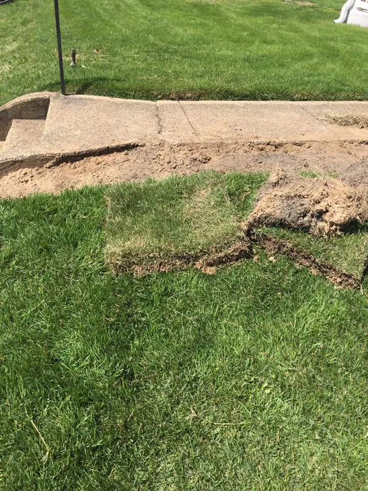 Top-rated landscaping services experts serving Glen Burnie, MD - Murray Painting