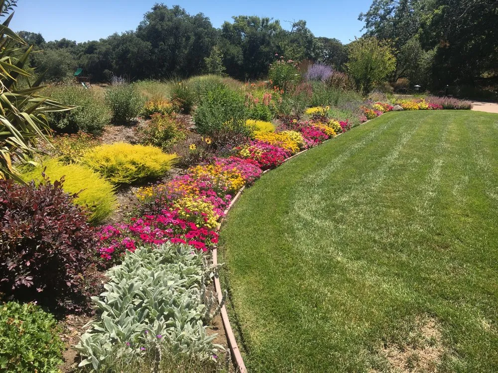 Reliable landscape installation experts serving Windsor, CA - Murray Peter Landscaping
