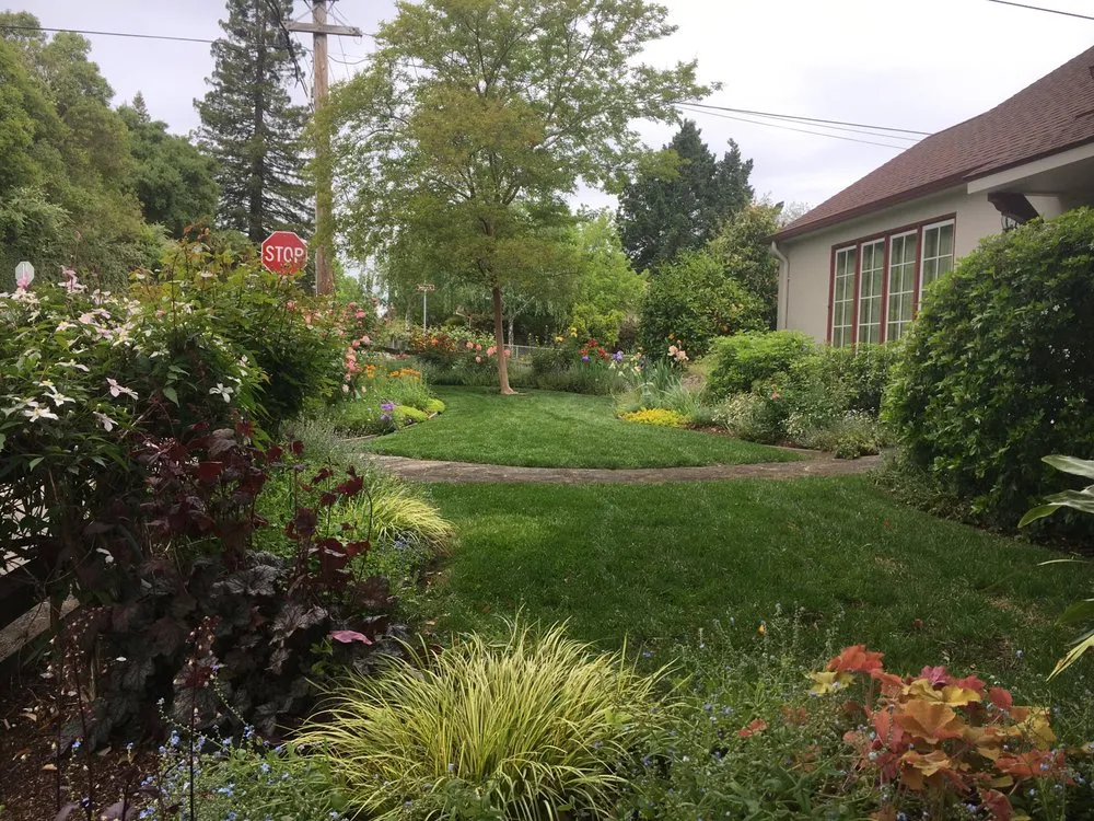 Reliable landscaping services in Windsor, CA by Murray Peter Landscaping