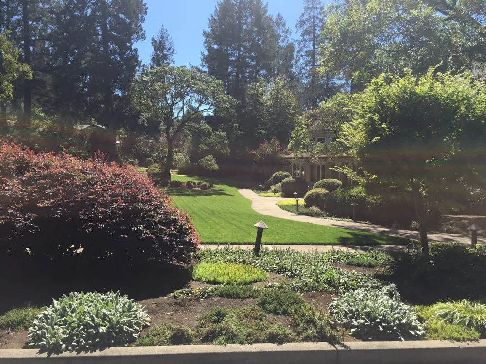 Reliable lawn care service in Windsor, CA - Murray Peter Landscaping