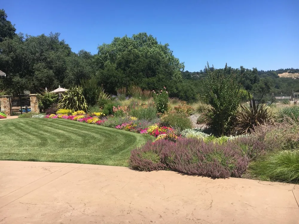 Reliable garden landscaping for year-round maintenance in Windsor, CA by Murray Peter Landscaping