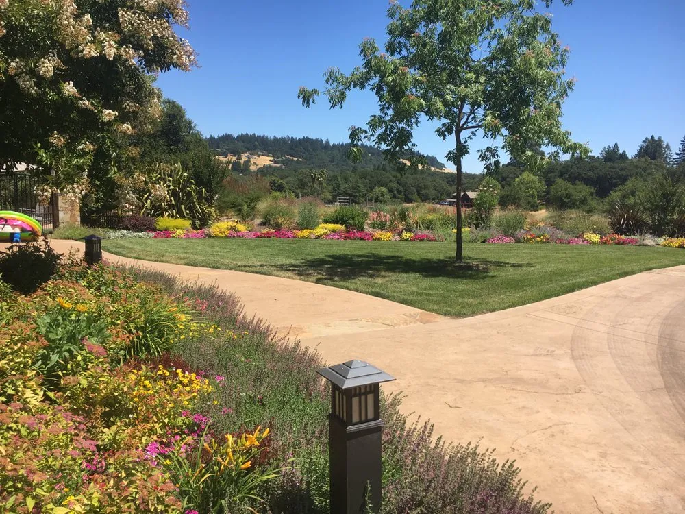 Local residential landscaping experts serving Windsor, CA - Murray Peter Landscaping