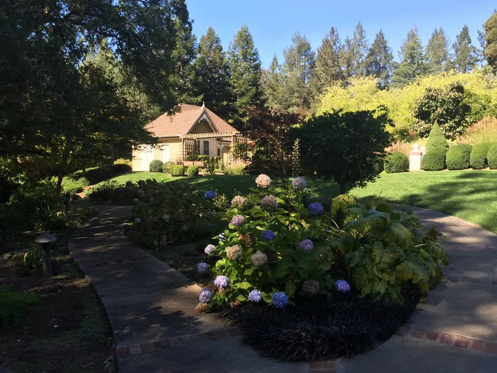 Professional garden landscaping for year-round maintenance in Windsor, CA by Murray Peter Landscaping