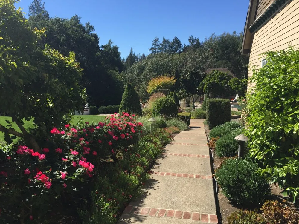 Top-rated landscape design for year-round maintenance across Windsor, CA - Murray Peter Landscaping