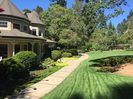 Murray Peter Landscaping Logo