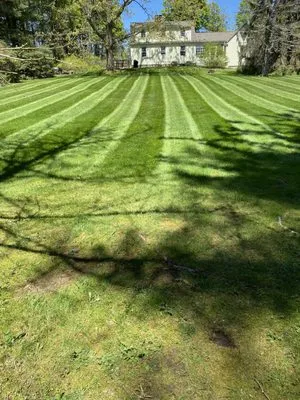 Murray Property Maintenance