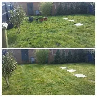 Top-rated yard cleanup service in Minneapolis, MN - Murray’s All Season Lawn Care