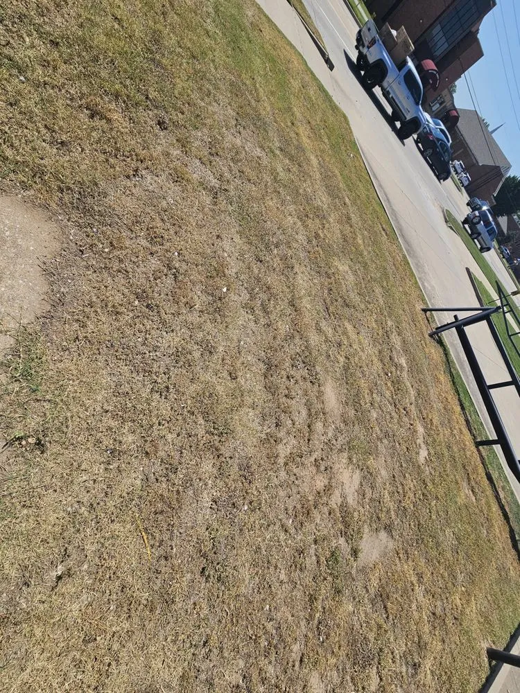 Affordable garden landscaping in Bixby, OK - Murray's Bug & Weed