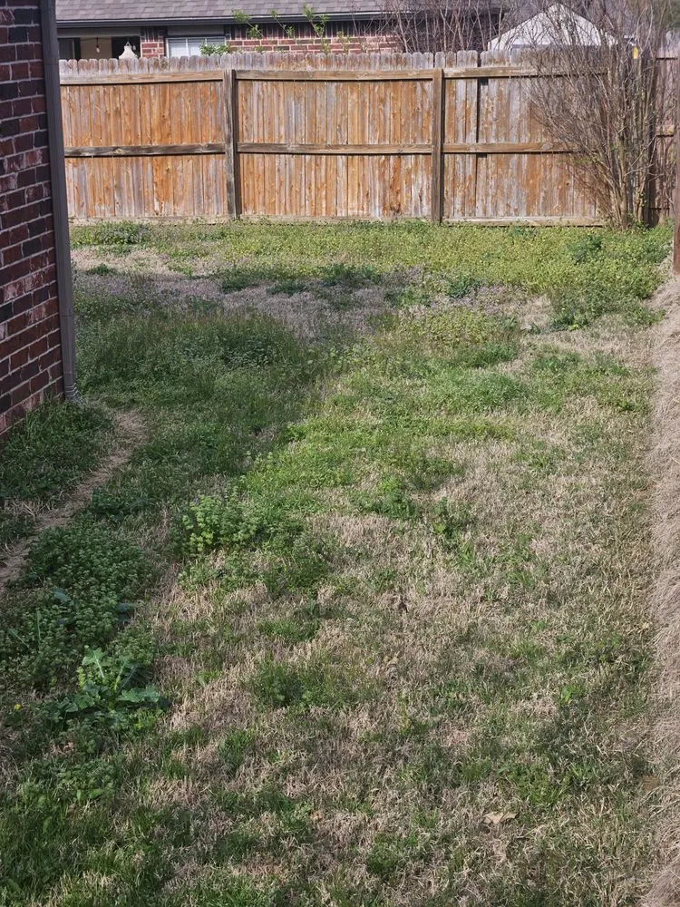 Trusted lawn mowing service for homes across Bixby, OK - Murray's Bug & Weed