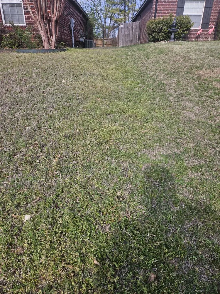 Local yard cleanup service for outdoor upgrades in Bixby, OK by Murray's Bug & Weed