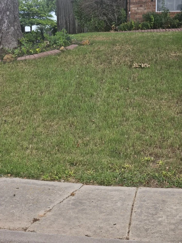 Trusted yard maintenance experts serving Bixby, OK - Murray's Bug & Weed