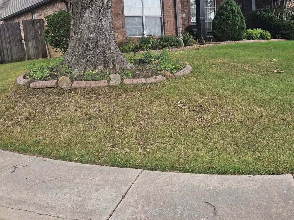 Trusted yard cleanup service in Bixby, OK - Murray's Bug & Weed