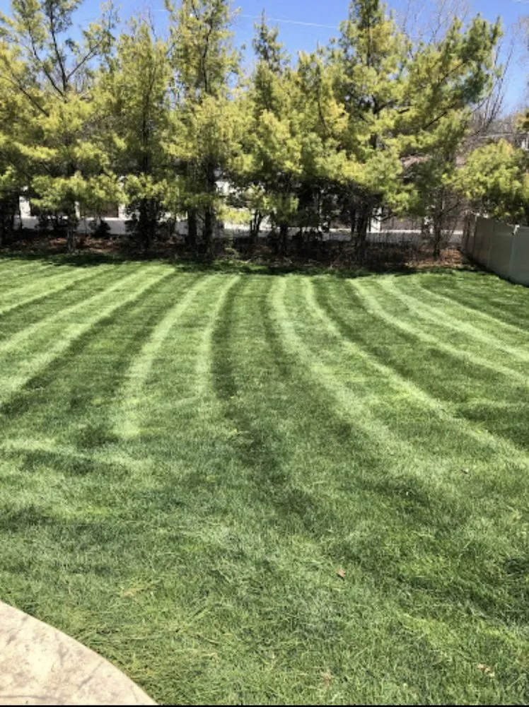 Local yard maintenance experts serving Canton, MI - Murray’s Irish Eyes Lawn Service