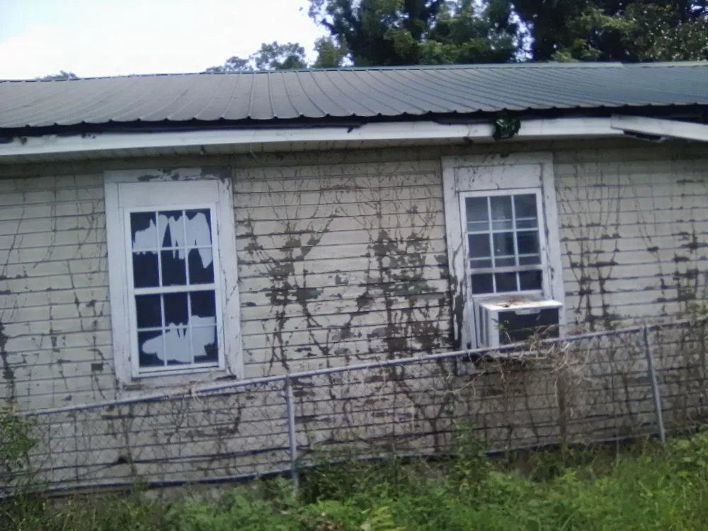 Trusted yard cleanup service in Macon, GA - Murray's Lawn & More