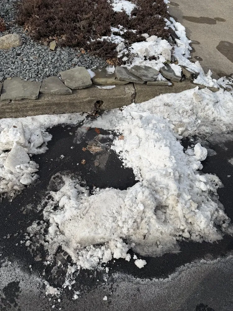 Affordable residential landscaping in Dunmore, PA by Murray’s Lawn And More