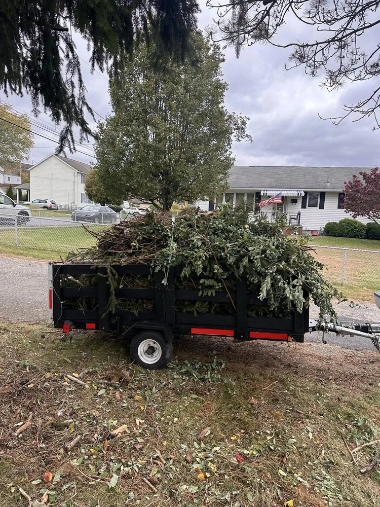 Professional yard maintenance near you across Dunmore, PA - Murray’s Lawn And More