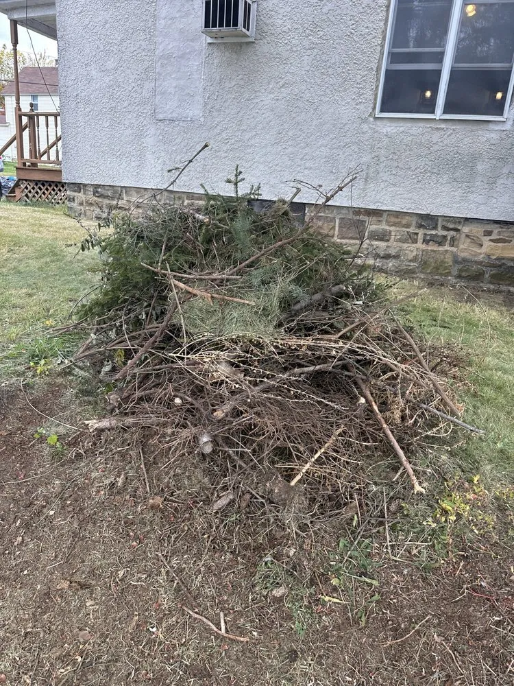 Custom yard cleanup service in Dunmore, PA by Murray’s Lawn And More