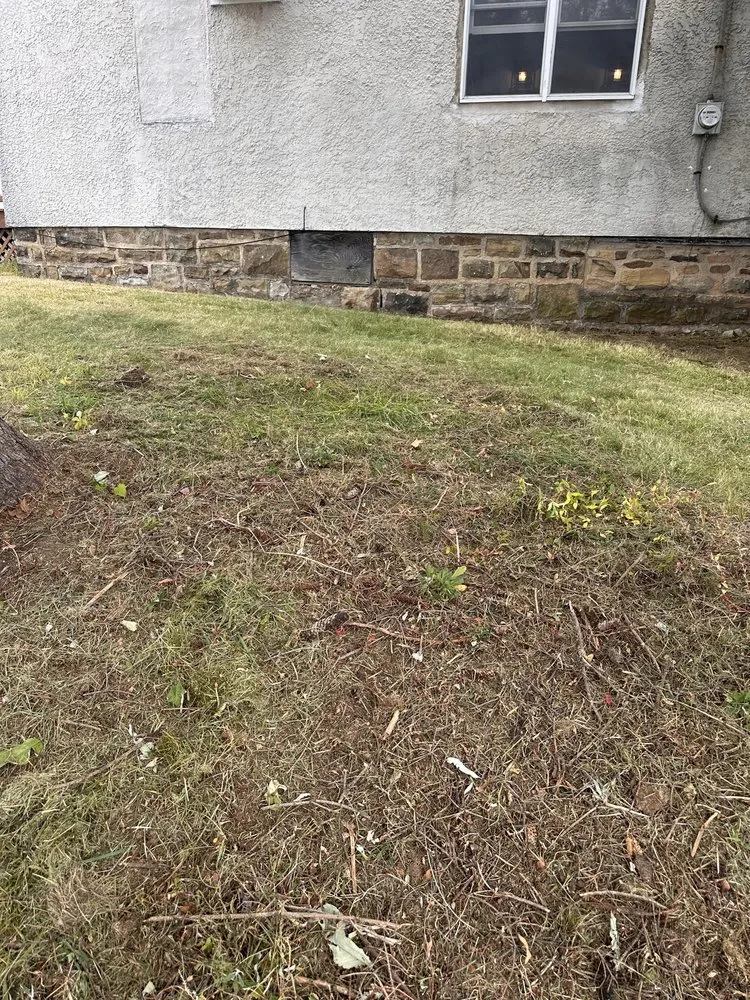 Local landscaping services experts serving Dunmore, PA - Murray’s Lawn And More