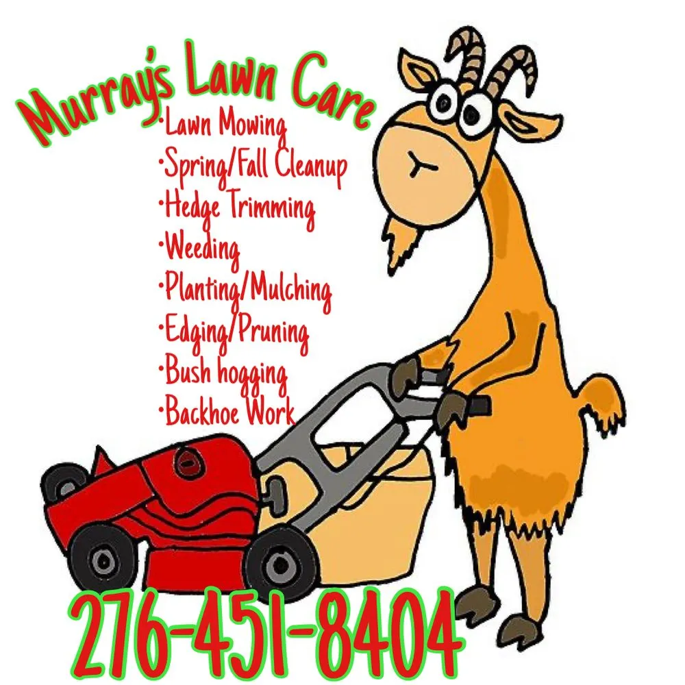 Affordable yard cleanup service experts serving Abingdon, VA - Murray’s Lawn Care