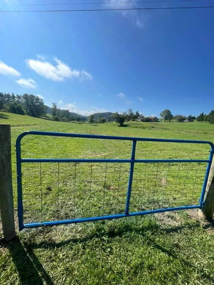 Custom yard cleanup service experts serving Abingdon, VA - Murray’s Lawn Care