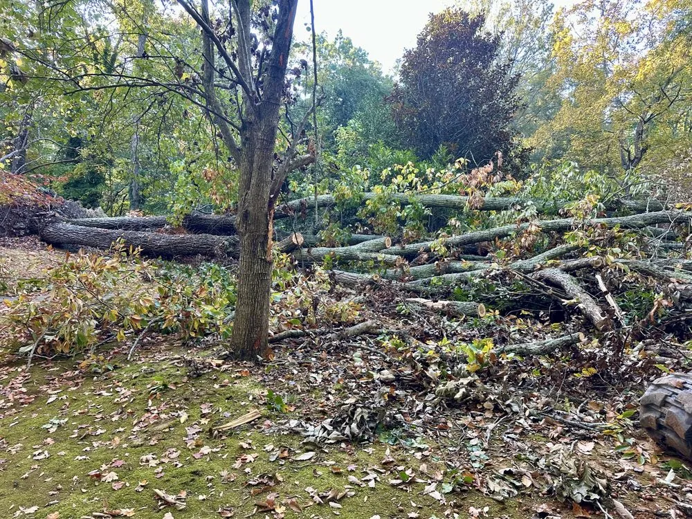 Top-rated landscaping services for year-round maintenance across Randleman, NC - Murray’s Lawn Care and Services