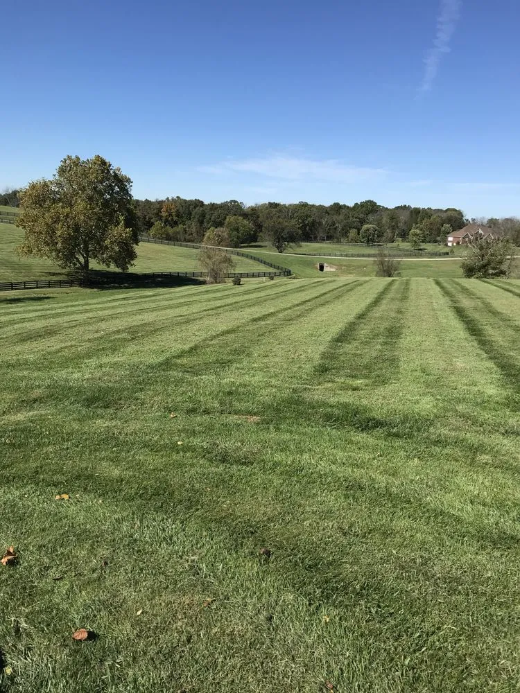 Trusted garden landscaping in Shelbyville, KY by Murrays Lawn Care