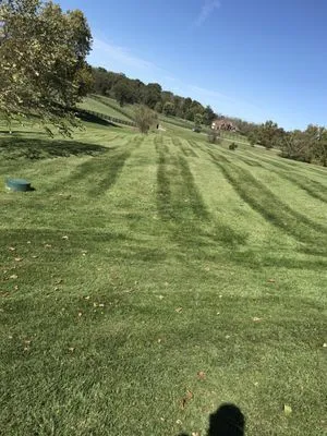 Murrays Lawn Care Logo