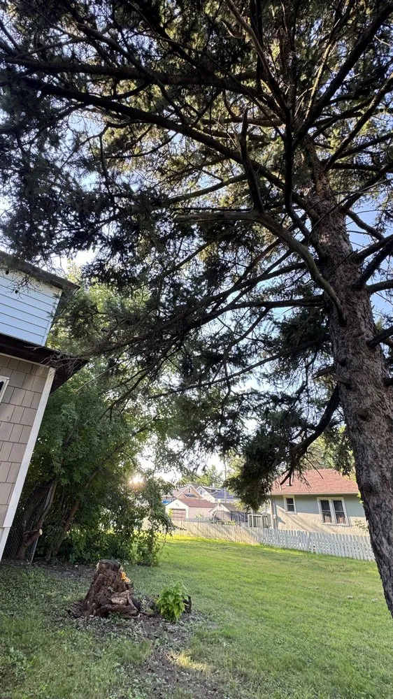 Top-rated lawn care service experts serving Minneapolis, MN - Murray’s Lawncare