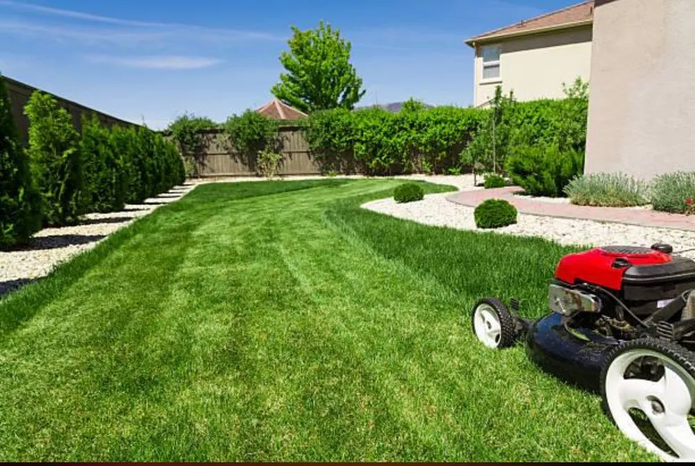 Expert residential landscaping experts serving Minneapolis, MN - Murray’s Lawncare