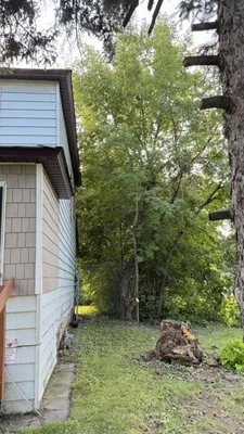 Murray’s Lawncare Logo