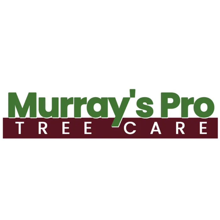 Trusted lawn mowing service in Swannanoa, NC by Murray's Pro Tree Care