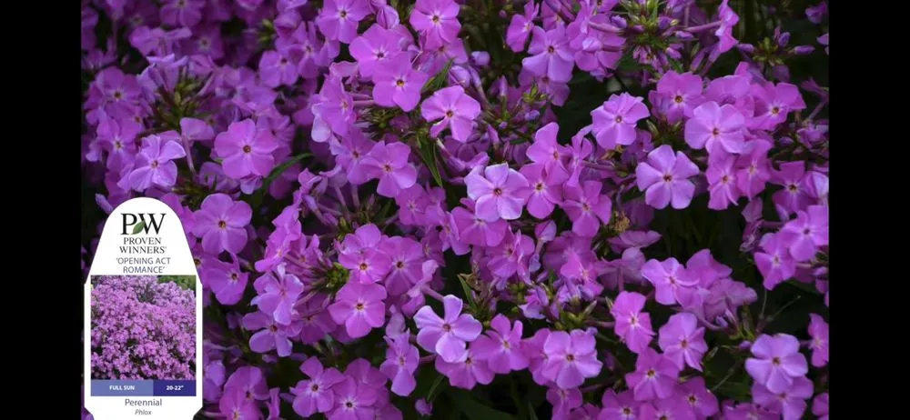 Reliable landscape design for homes across Chesterland, OH - Murton Landscaping