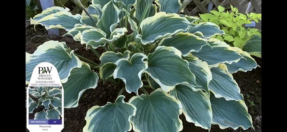 Expert outdoor landscaping in Chesterland, OH by Murton Landscaping