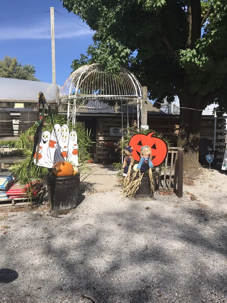 Professional yard cleanup service in Monticello, IN - Musall & Sons Lawn & Garden Center & Landscaping