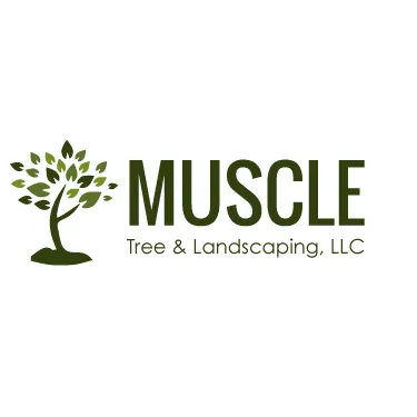Affordable garden landscaping experts serving Boulder, CO - Muscle Tree & Landscaping