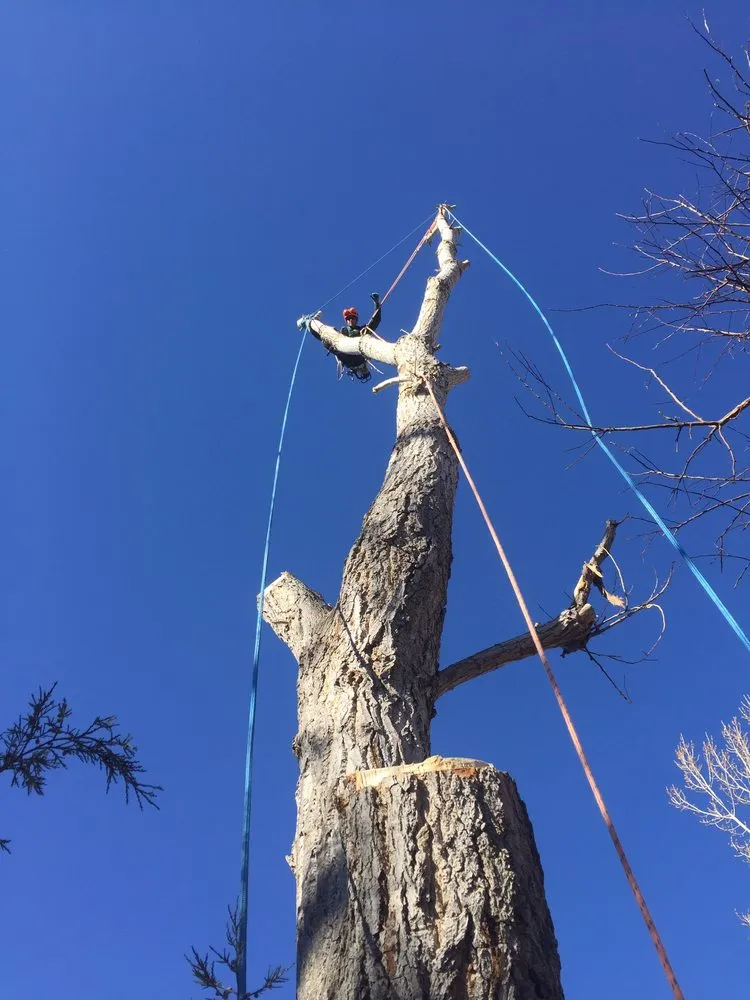 Top-rated landscape design in Boulder, CO - Muscle Tree & Landscaping