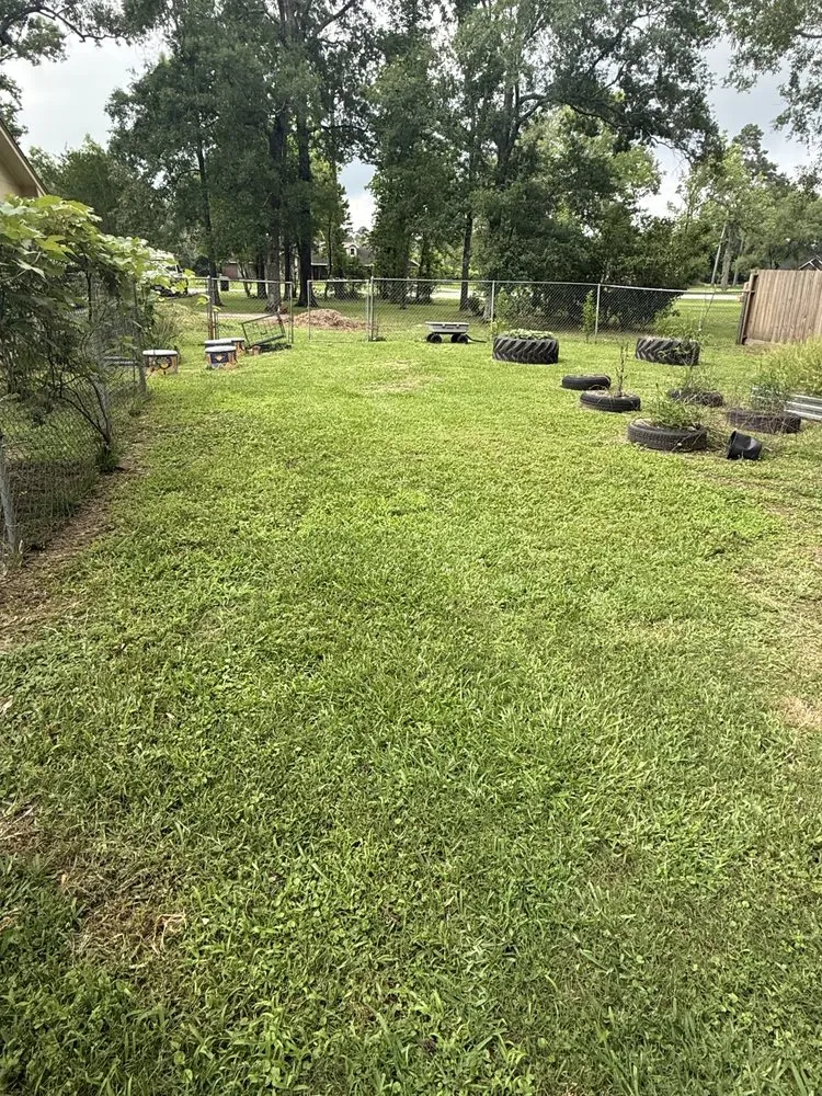 Expert landscape design in Huffman, TX - Musclehead Services