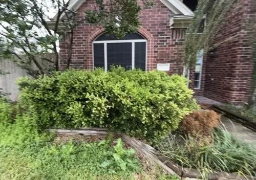 Expert landscape design in Huffman, TX by Musclehead Services