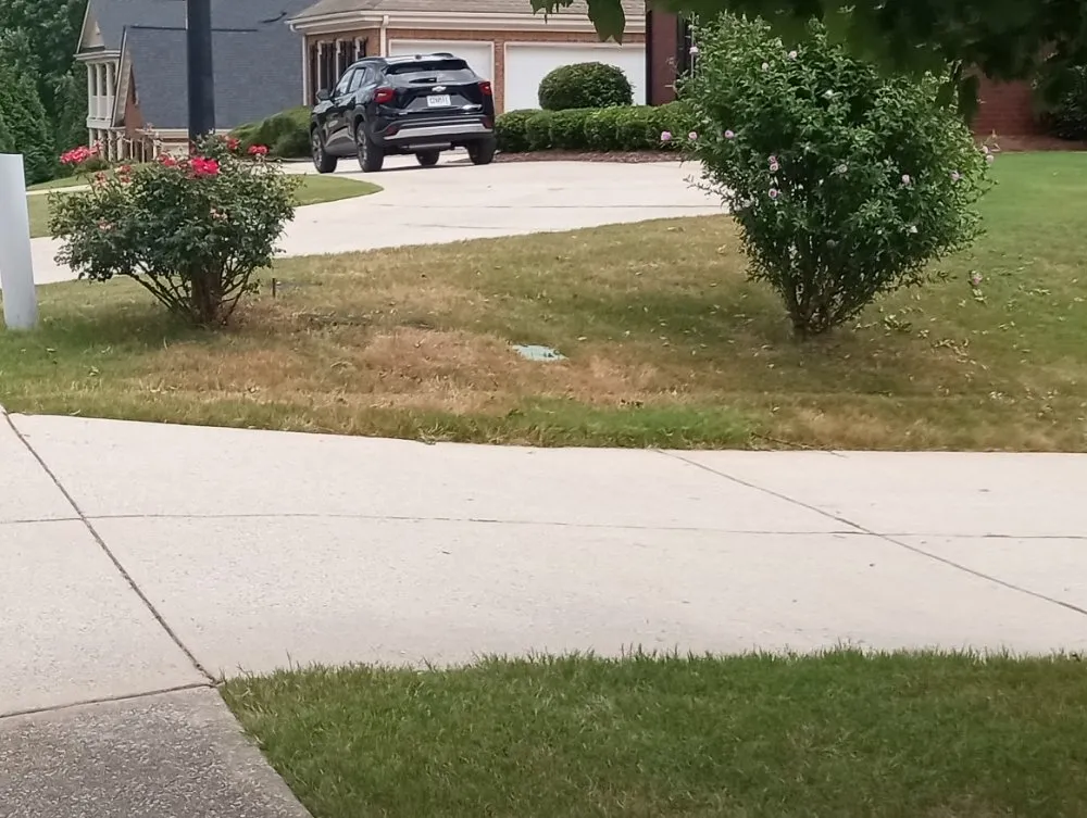 Local landscape design in Villa Rica, GA by Muse Landscaping