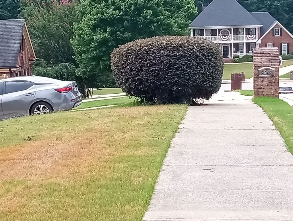 Affordable lawn care service in Villa Rica, GA - Muse Landscaping