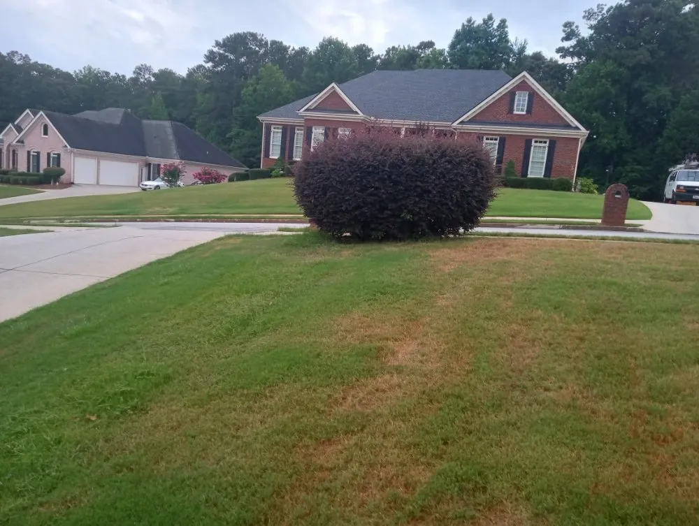 Expert landscape installation in Villa Rica, GA by Muse Landscaping