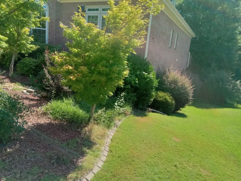 Reliable landscaping services experts serving Villa Rica, GA - Muse Landscaping